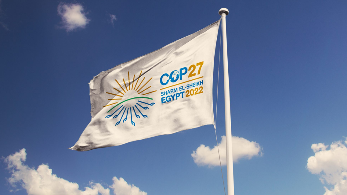 COP27 Strategic Conference